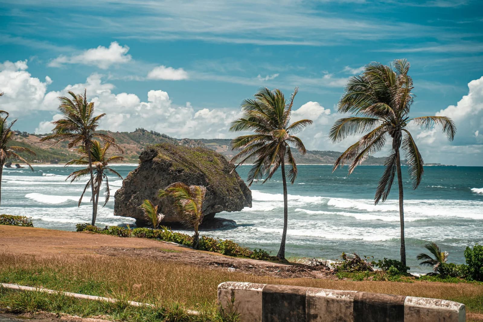 The Bathsheba mushroom rock off the Atlantic coast of Barbados with palms in foreground.