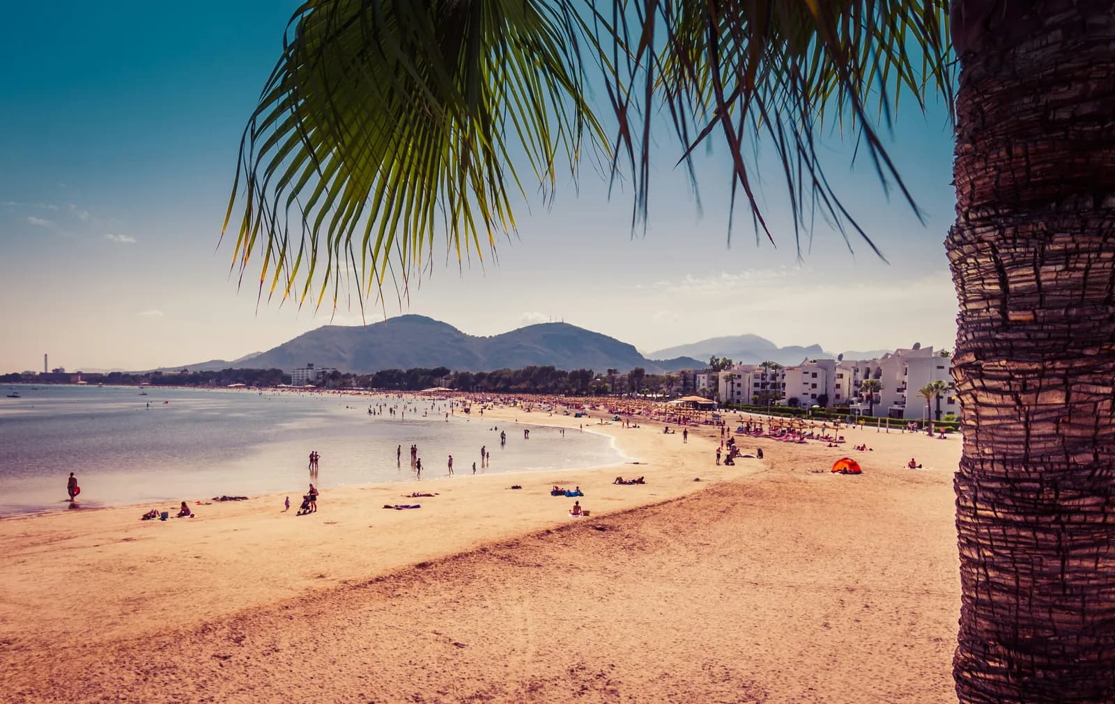 Mallorcan bay with mountain backdrop framed by a palm trunk and fronds