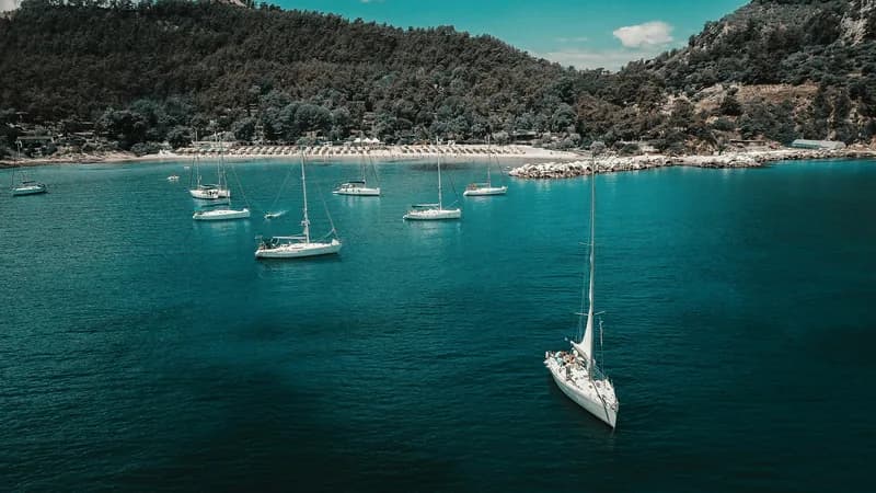 A scatter of white sailboats anchored in a forest-rimmed cove in calm dark blue water.